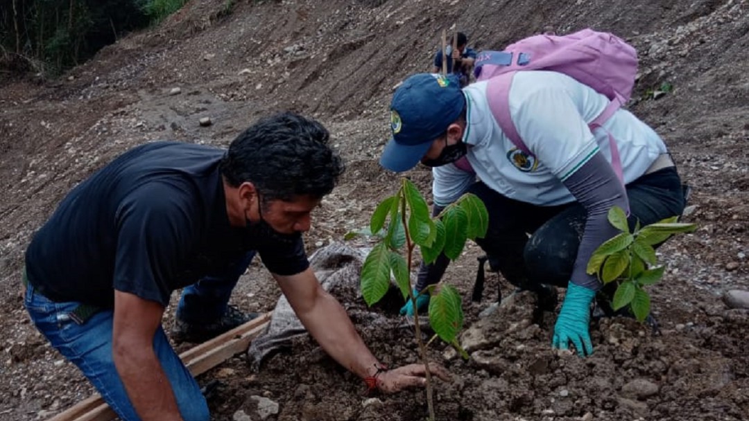 Siembran árboles en el lugar donde murieron los 11 mineros en Neira
