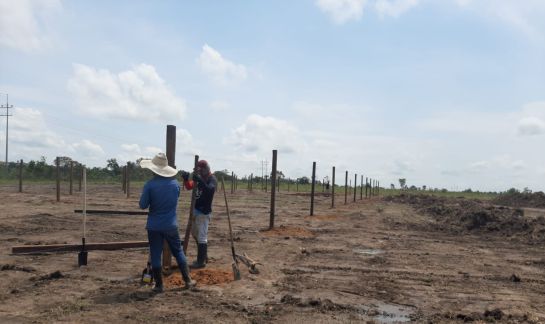 La vivero estaría listo en dos meses. La vivero estaría listo en dos meses.