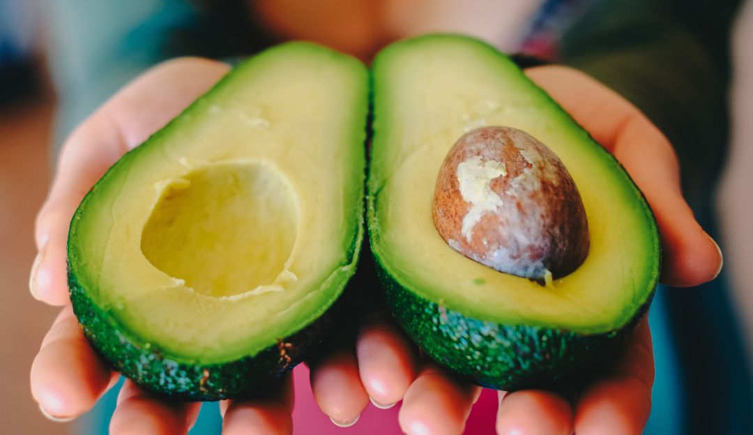 Aguacate Aguacate