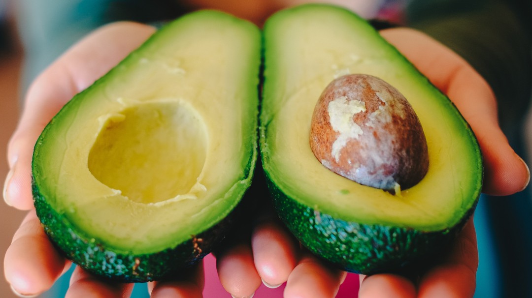 Estudio confirma que componente del aguacate es eficaz contra la leucemia