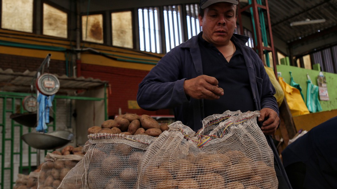 Papa, fríjol, arveja y algunas frutas suben de precios
