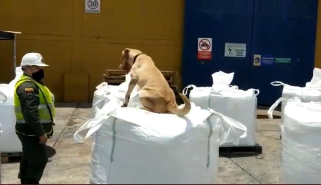 Captura de video