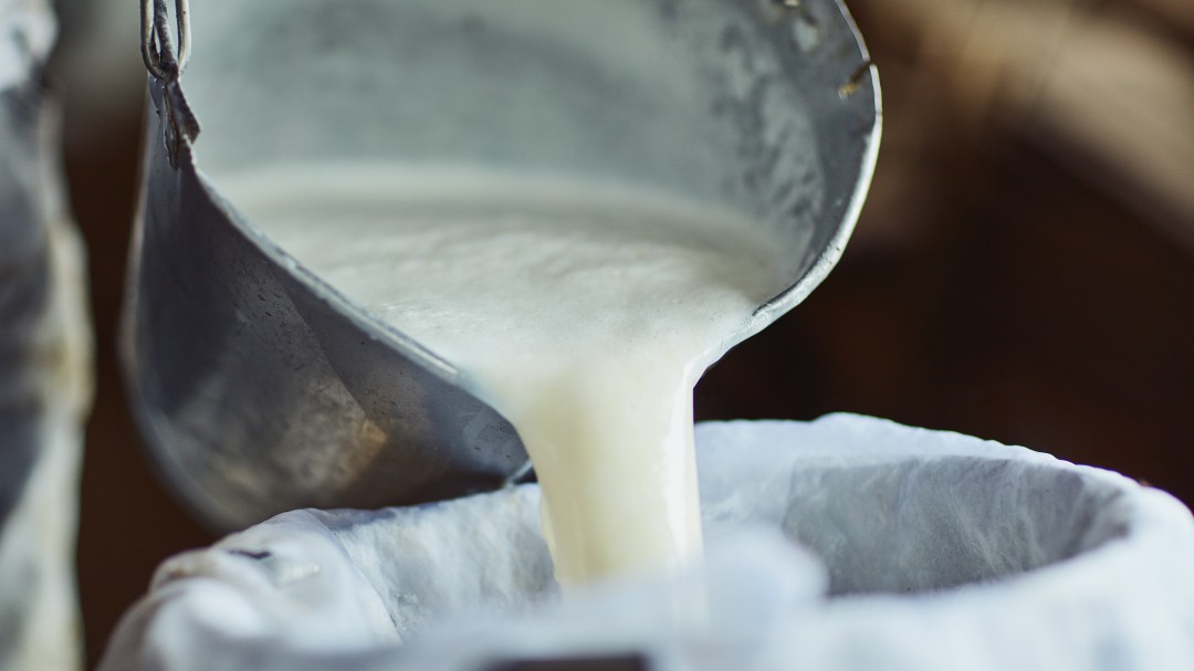 "Es muy probable que no vayan a encontrar leche pronto": ANALAC