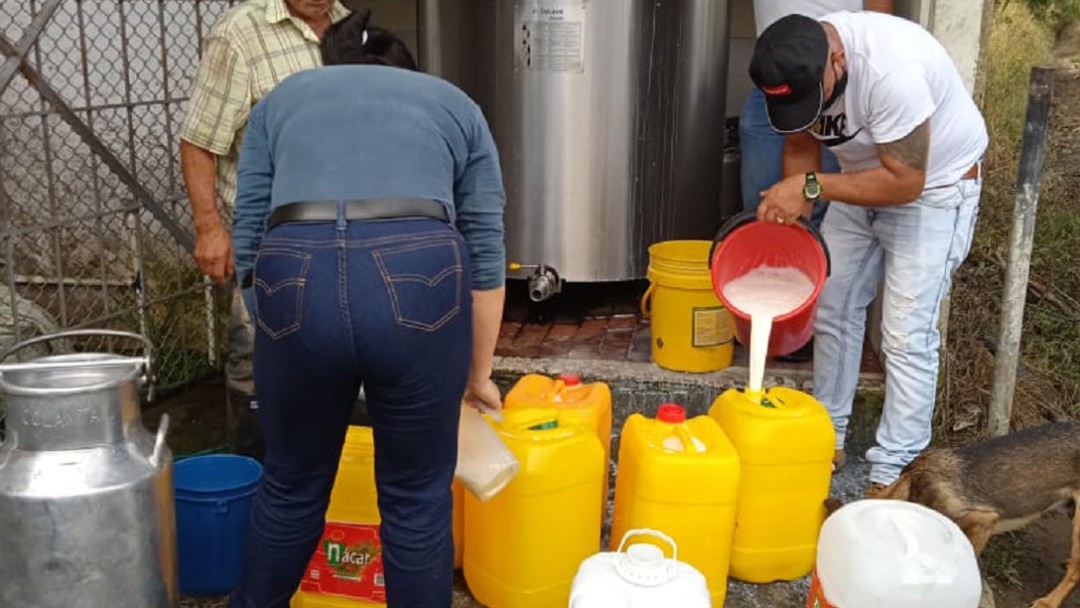 Productores de leche, entre vender más barata, regalar o botar por bloqueos