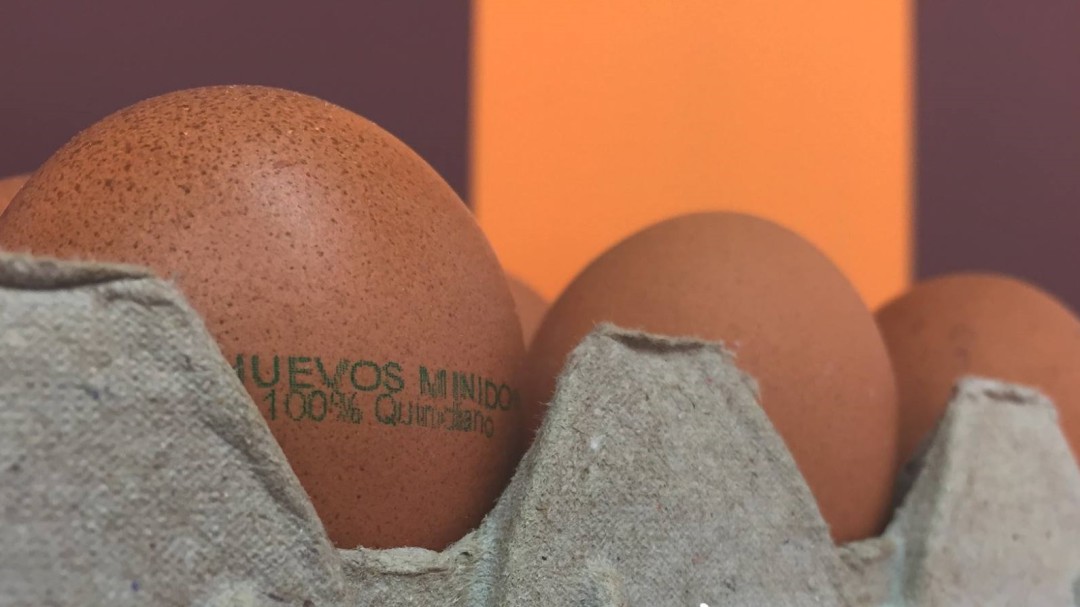Desesperados están productores de huevos en el Quindío por los bloqueos