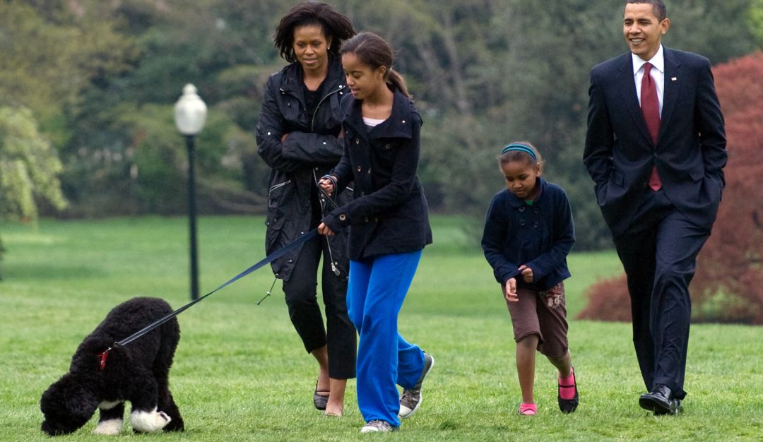 Falleció Bo, el perro de la familia Obama.
