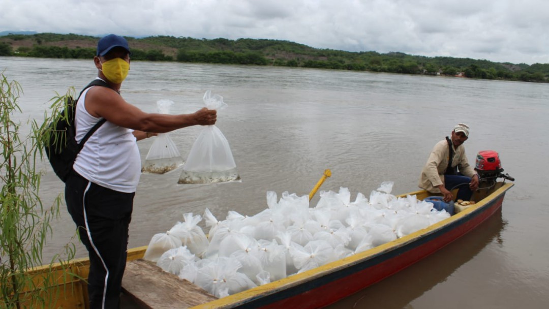 Colombia trabaja para fortalecer su acuicultura y pesca