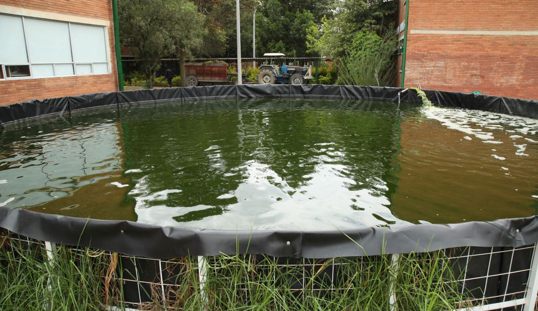 Sistemas acuapónicos - SENA, Centro de Biotecnología Agropecuaria de Mosquera. Sistemas acuapónicos - SENA, Centro de Biotecnología Agropecuaria de Mosquera.