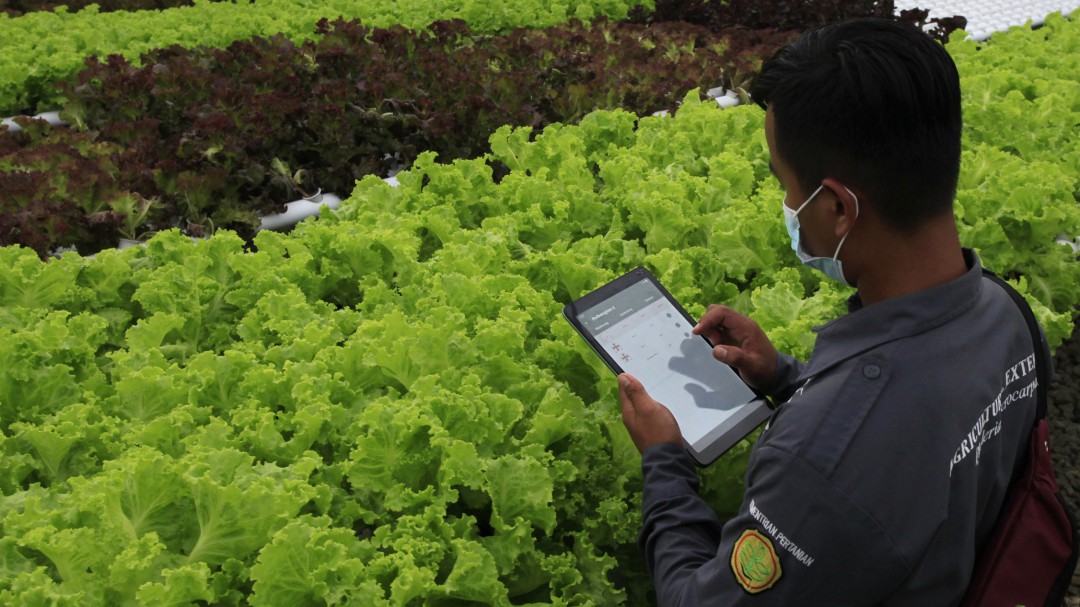 Mercados, precios, tecnología y demás en el campo