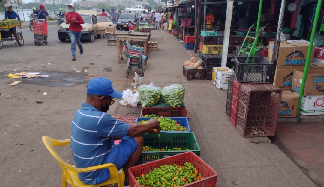 Productos que se encontraban escasos como papa, lulo y guayaba ya tienen buena oferta Productos que se encontraban escasos como papa, lulo y guayaba ya tienen buena oferta