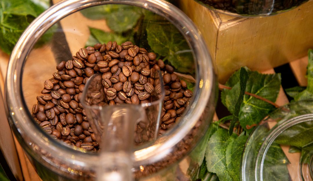 Exportaciones de café del Magdalena: Café de Sacramento de la Sierra Nevada se exportará a Panamá Exportaciones de café del Magdalena: Café de Sacramento de la Sierra Nevada se exportará a Panamá