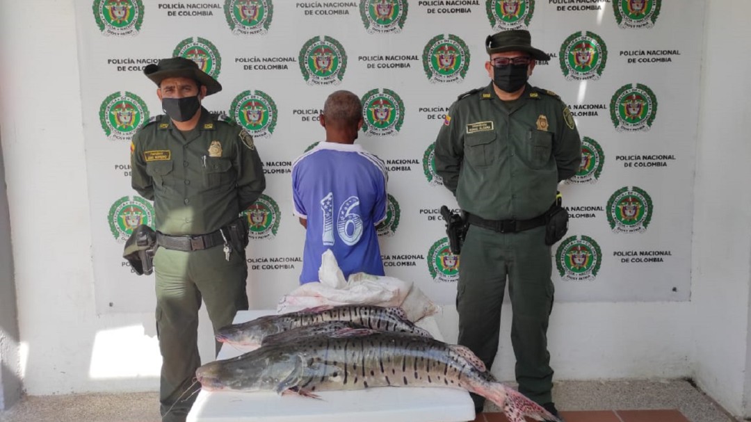 Capturaron a un hombre por violar veda del bagre rayado en Magangué