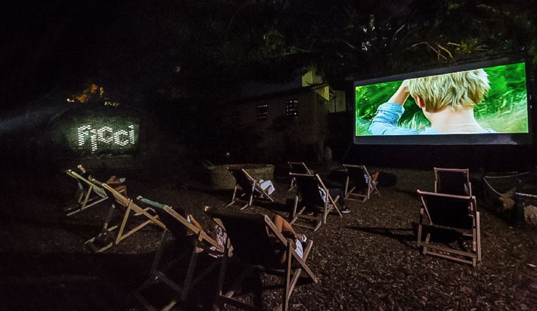 Cine Cine