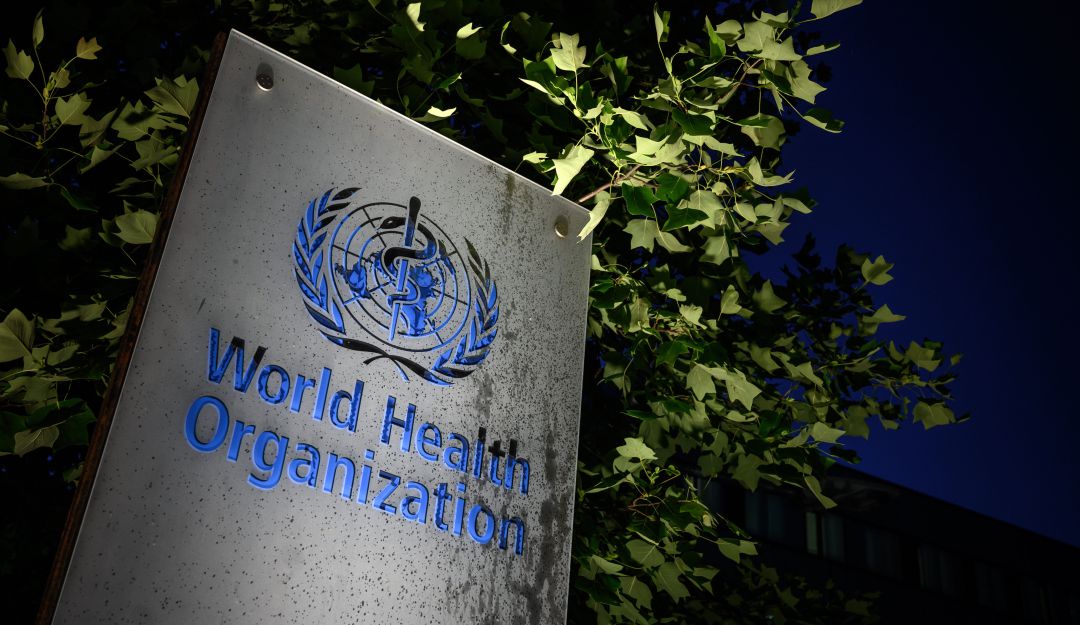 Organización Mundial de la Salud Organización Mundial de la Salud