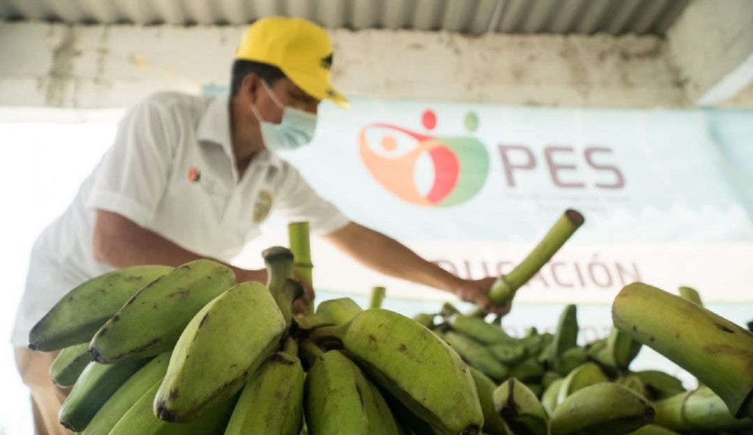 Campesinos de los Montes de María ofrecieron sus productos agrícolas frescos a precios económicos sin intermediarios Campesinos de los Montes de María ofrecieron sus productos agrícolas frescos a precios económicos sin intermediarios