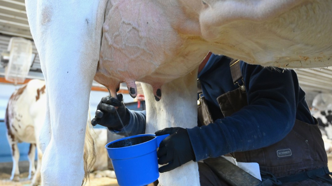 En Colombia se consume menos leche de lo recomendado