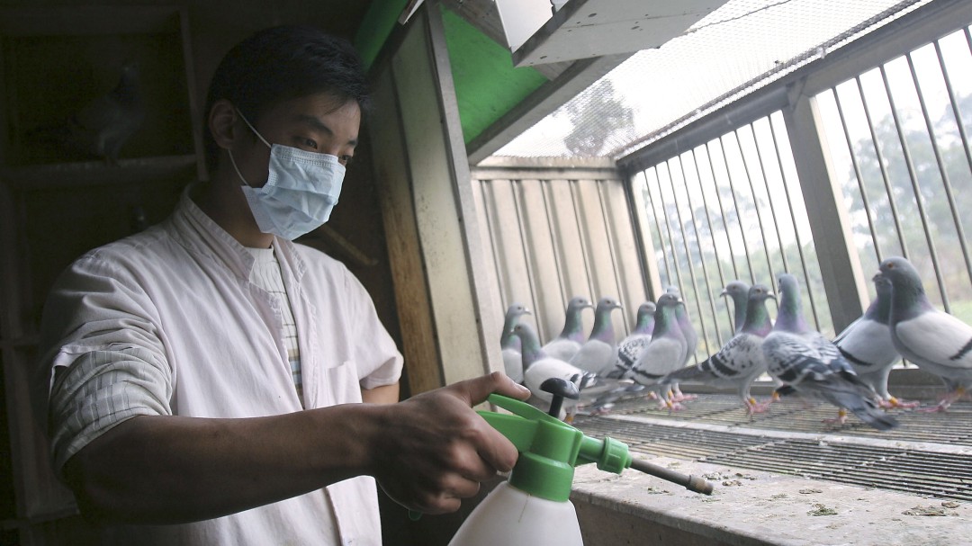 El primer caso mundial de gripe aviar H10N3 en humanos está en China