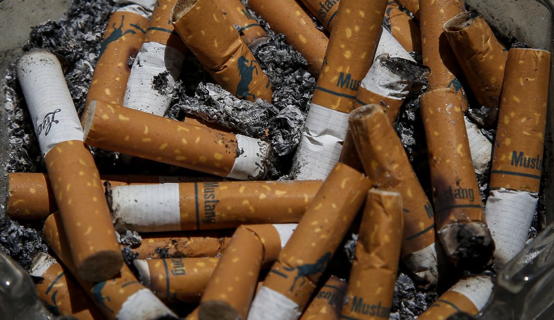 Por Día contra el Tabaco, piden priorizar proyecto que regula la nicotina Por Día contra el Tabaco, piden priorizar proyecto que regula la nicotina
