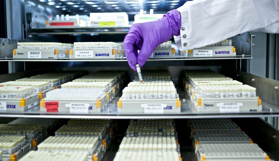 Bioequivalentes Sandoz : Calidad al alcance de todos: Bioequivalentes Sandoz, calidad al alcance de todos Bioequivalentes Sandoz : Calidad al alcance de todos: Bioequivalentes Sandoz, calidad al alcance de todos