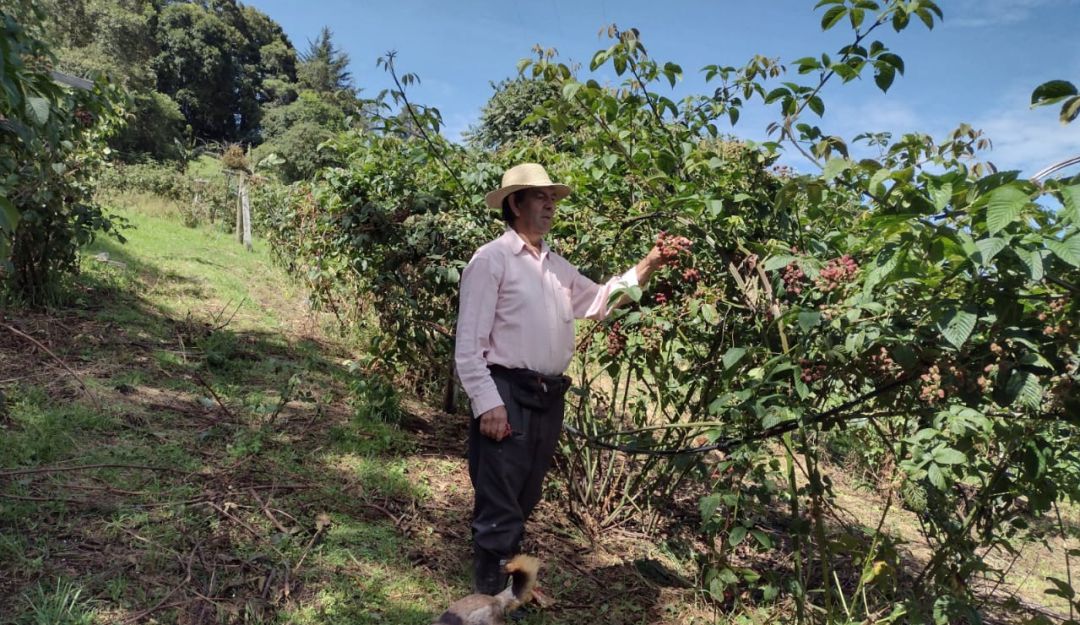 Orlando Merchan en Gachancipá, Boyacá Orlando Merchan en Gachancipá, Boyacá
