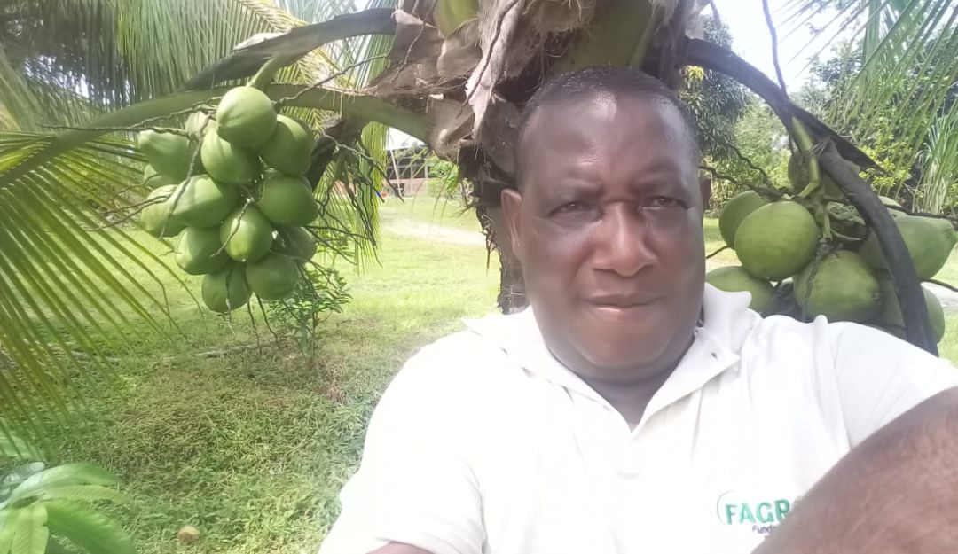Aníbal Martínez, cultivador de aguacate criollo, coco y cacao en Istmina, Chocó. Aníbal Martínez, cultivador de aguacate criollo, coco y cacao en Istmina, Chocó.