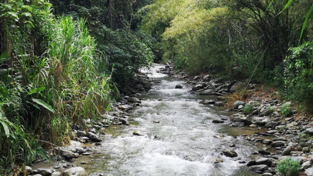 En Quindío crean estrategia para identificar vertimientos en río Quindío