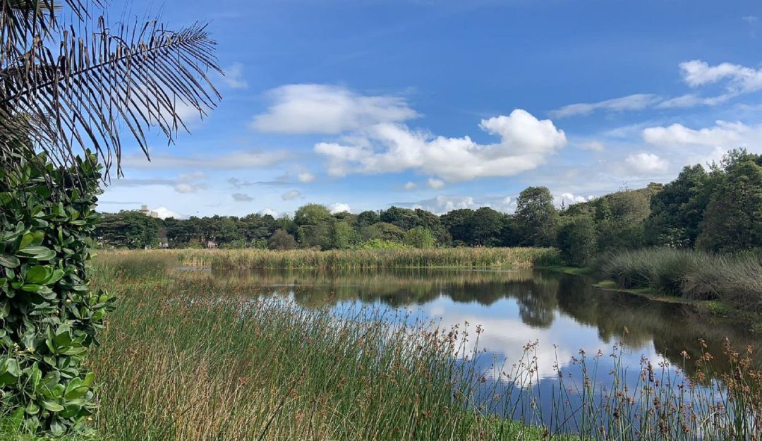 Bogotá celebra Día Mundial del Medio Ambiente desde el humedal Santa María del Lago Bogotá celebra Día Mundial del Medio Ambiente desde el humedal Santa María del Lago