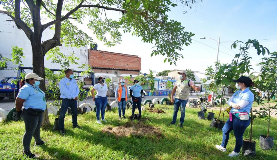 EPA invita a realizar acciones para proteger el patrimonio natural de Cartagena EPA invita a realizar acciones para proteger el patrimonio natural de Cartagena
