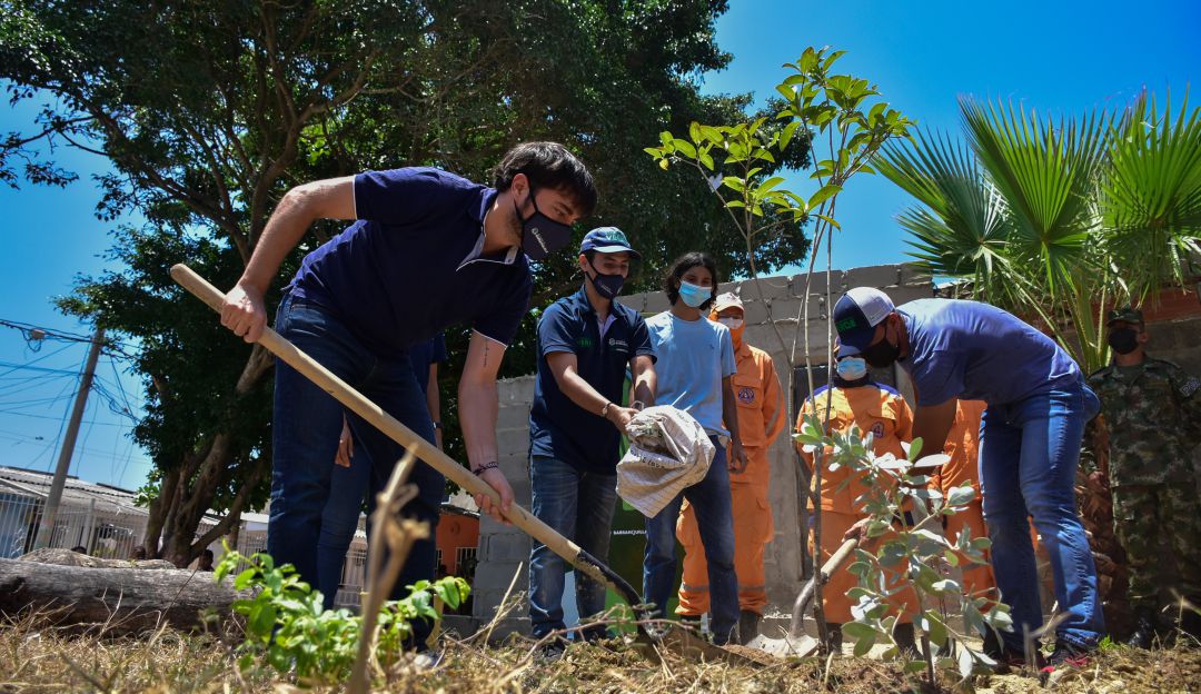 El alcalde Jaime Pumarejo en la siembra de árboles frutales y nativos en el barrio La Chinita. El alcalde Jaime Pumarejo en la siembra de árboles frutales y nativos en el barrio La Chinita.