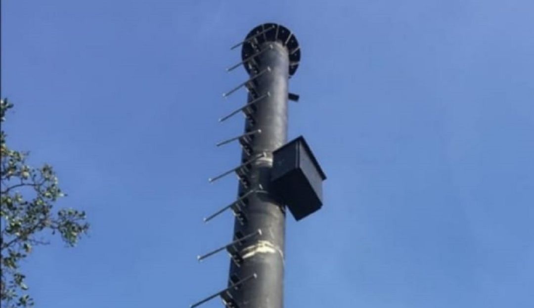 Tower 3 deberá pagar más de 18 millones de pesos por las infracciones que cometió al instalar la antena en el Centro Histórico Tower 3 deberá pagar más de 18 millones de pesos por las infracciones que cometió al instalar la antena en el Centro Histórico