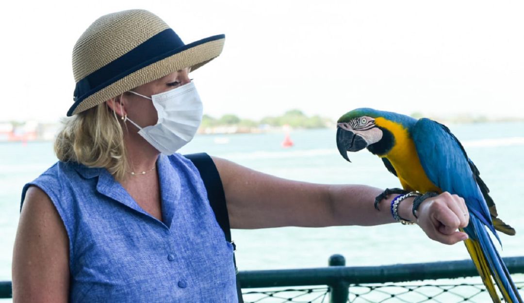 La directora de la línea de cruceros fluviales “Uniworld” llegó a inspeccionar la Terminal de Cruceros de Cartagena para una potencial operación La directora de la línea de cruceros fluviales “Uniworld” llegó a inspeccionar la Terminal de Cruceros de Cartagena para una potencial operación