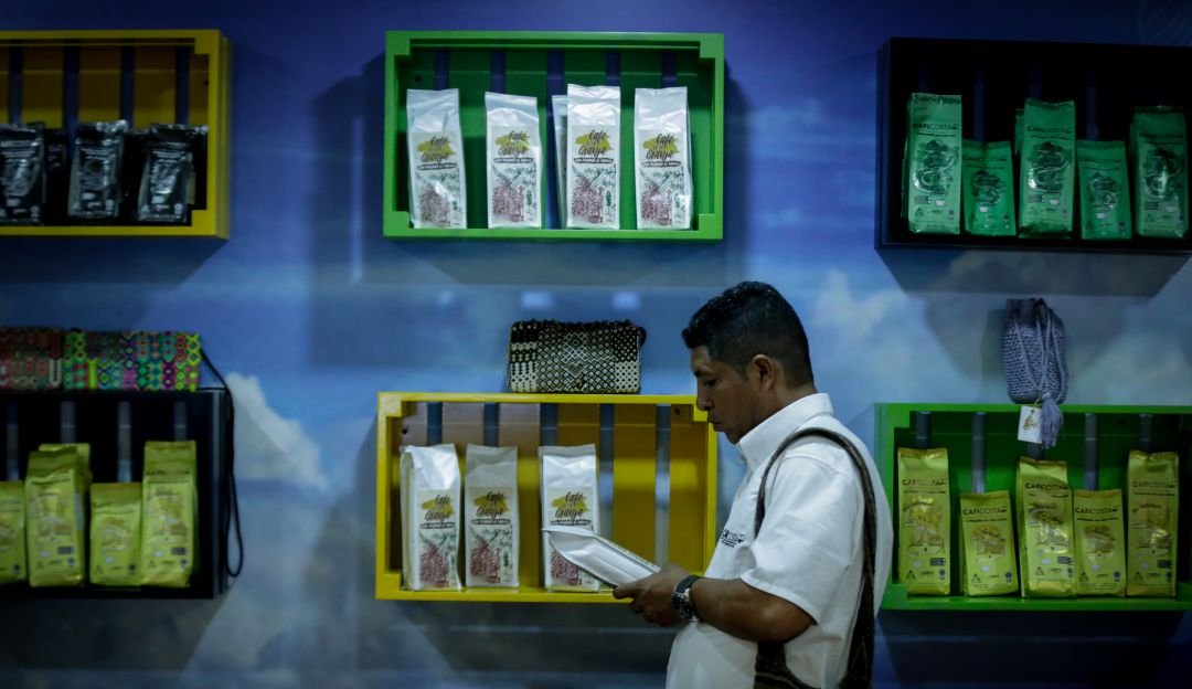 Fuerte reducción en exportaciones de café Fuerte reducción en exportaciones de café