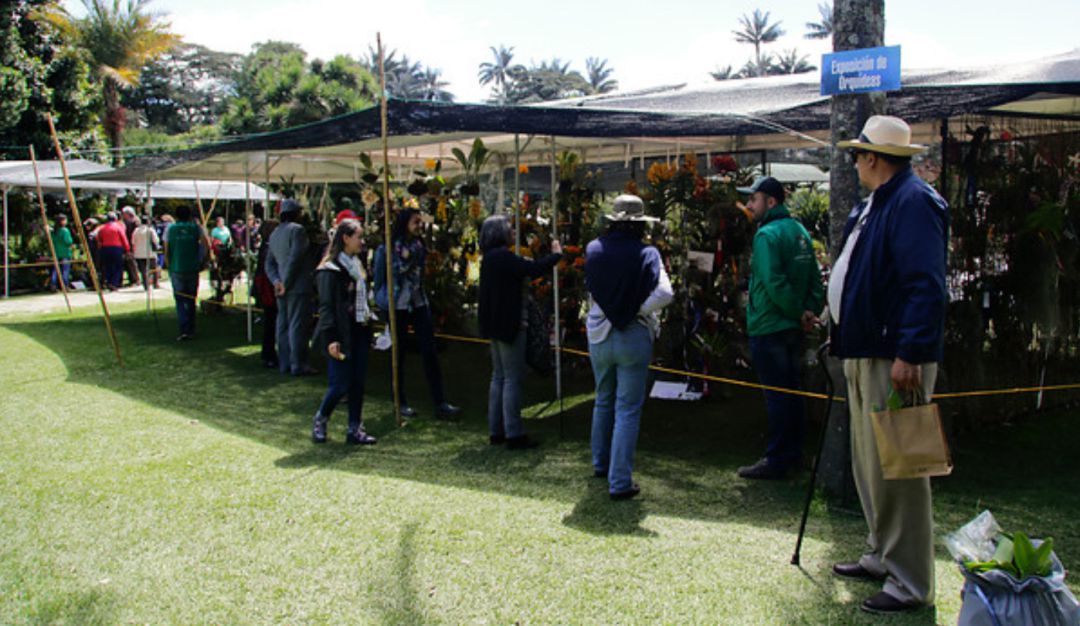 Jardín Botánico Jardín Botánico