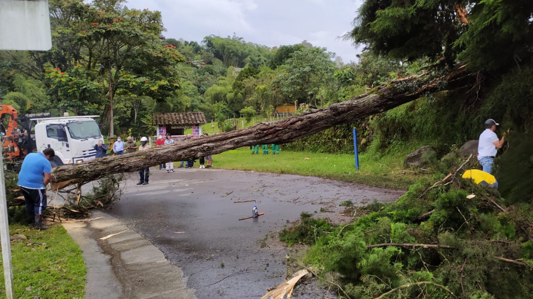 Salento, el municipio más afectado por vendaval en el Quindío