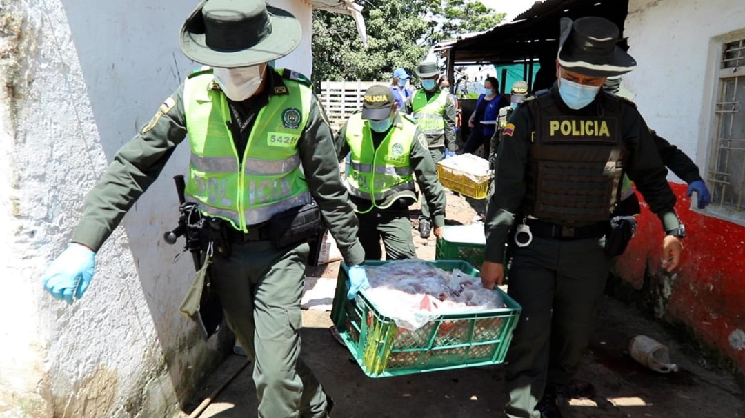 Incautan más de 600 kilos de carne de caballo y burro en Bucaramanga