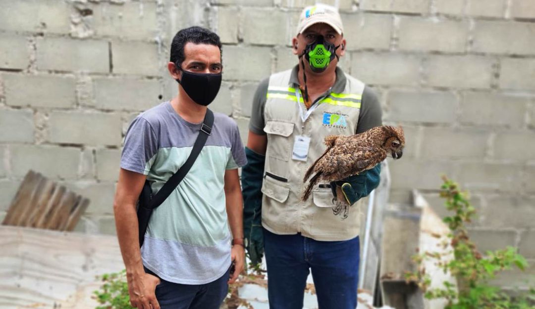 Cada vez son más los ciudadanos que toman conciencia y deciden devolver animales silvestres que mantienen en cautiverio Cada vez son más los ciudadanos que toman conciencia y deciden devolver animales silvestres que mantienen en cautiverio