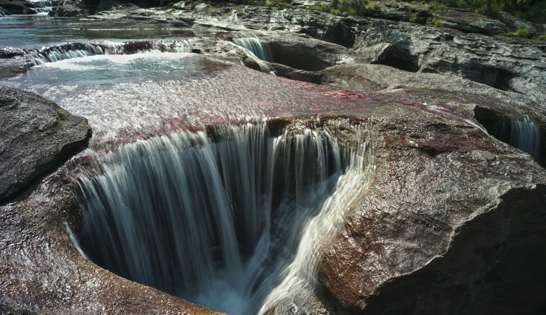 Caño Cristales, Colombia Caño Cristales, Colombia