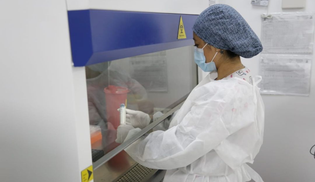 Laboratorio Molecular Laboratorio Molecular