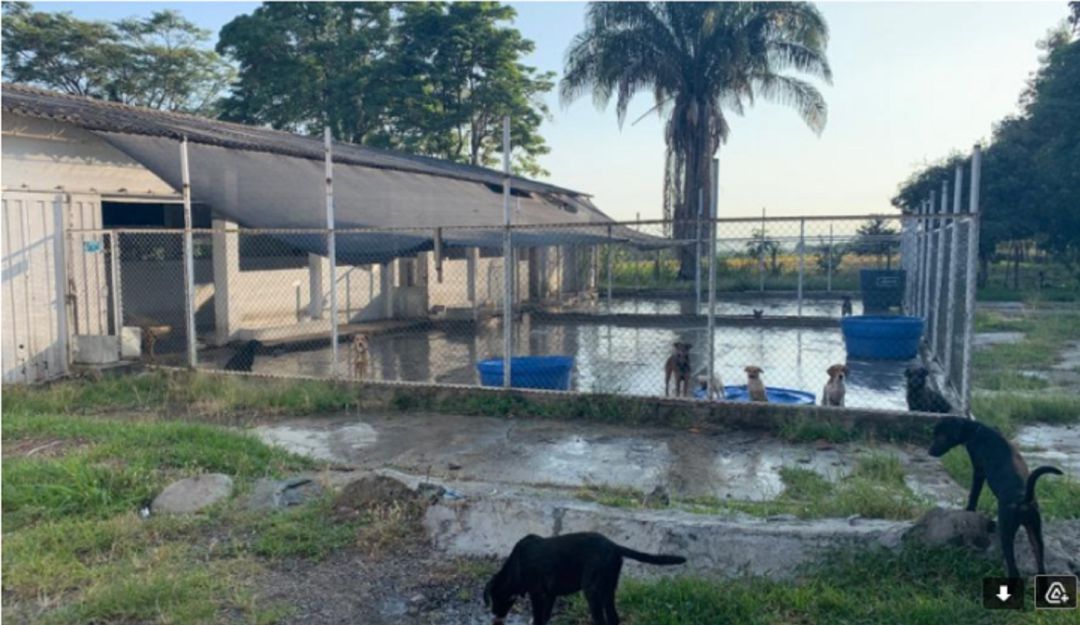 El Capa esta ubicado en la vía a Alvarado. El Capa esta ubicado en la vía a Alvarado.