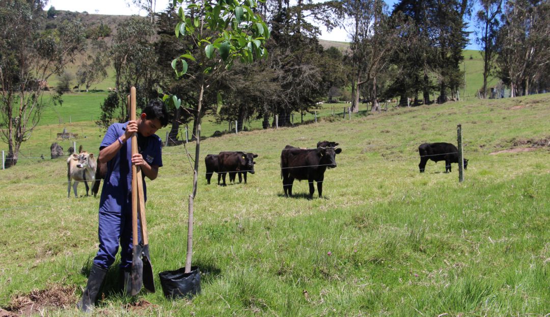 Profesionales para gerenciar la producción agropecuaria. Profesionales para gerenciar la producción agropecuaria.
