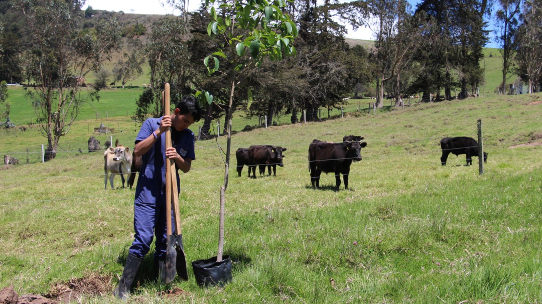 Preparando administradores para un mejor futuro del campo