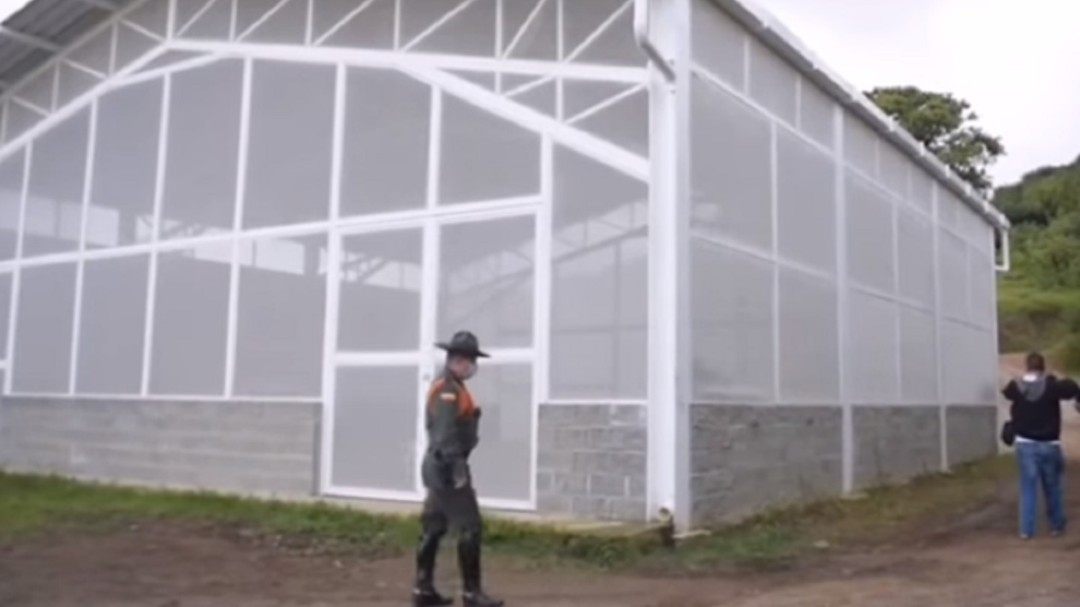 Suspenden actividad de multinacional aguacatera en Pijao, Quindío
