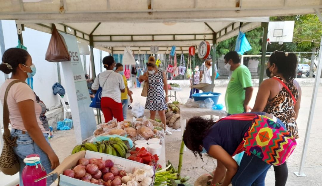 Esta vez el Mercado Móvil llegó a la urbanización La Castellana Esta vez el Mercado Móvil llegó a la urbanización La Castellana