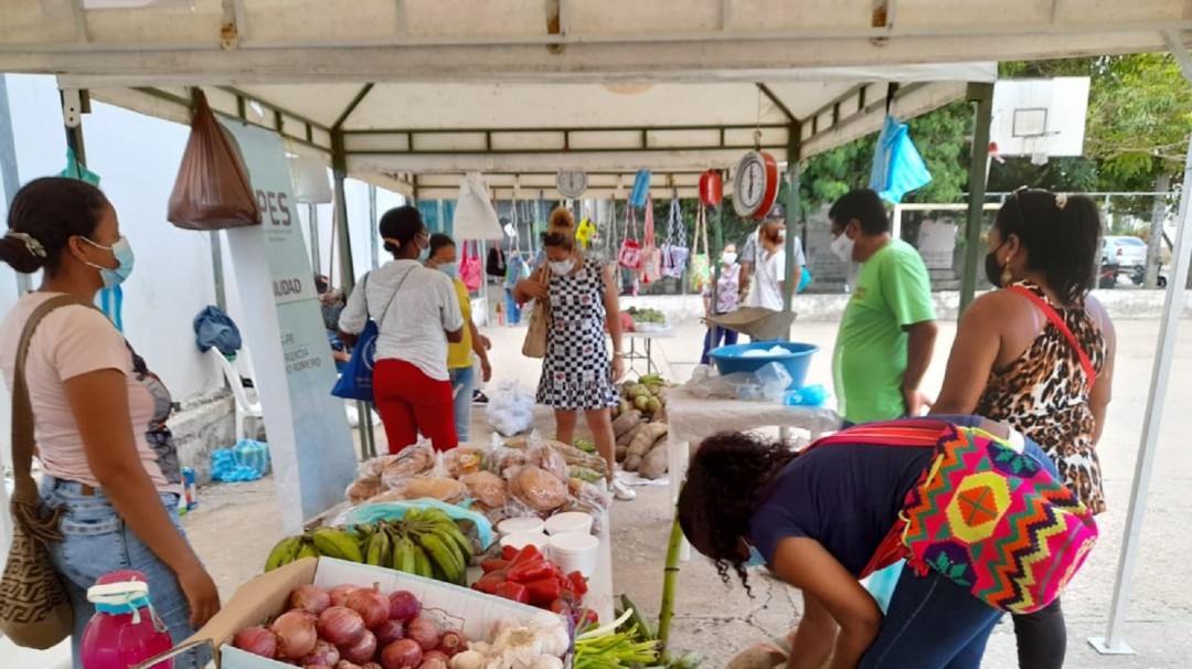 20 toneladas se vendieron en Mercado Móvil Campesino en Cartagena