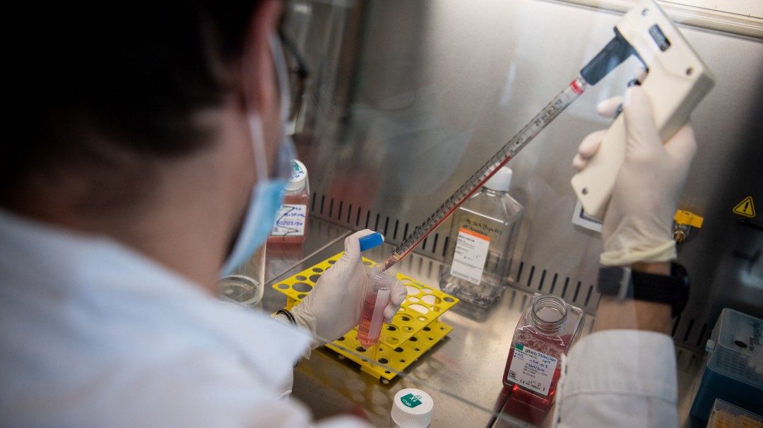 Exigen al presidente Duque nombrar un Minciencia con cualidades éticas