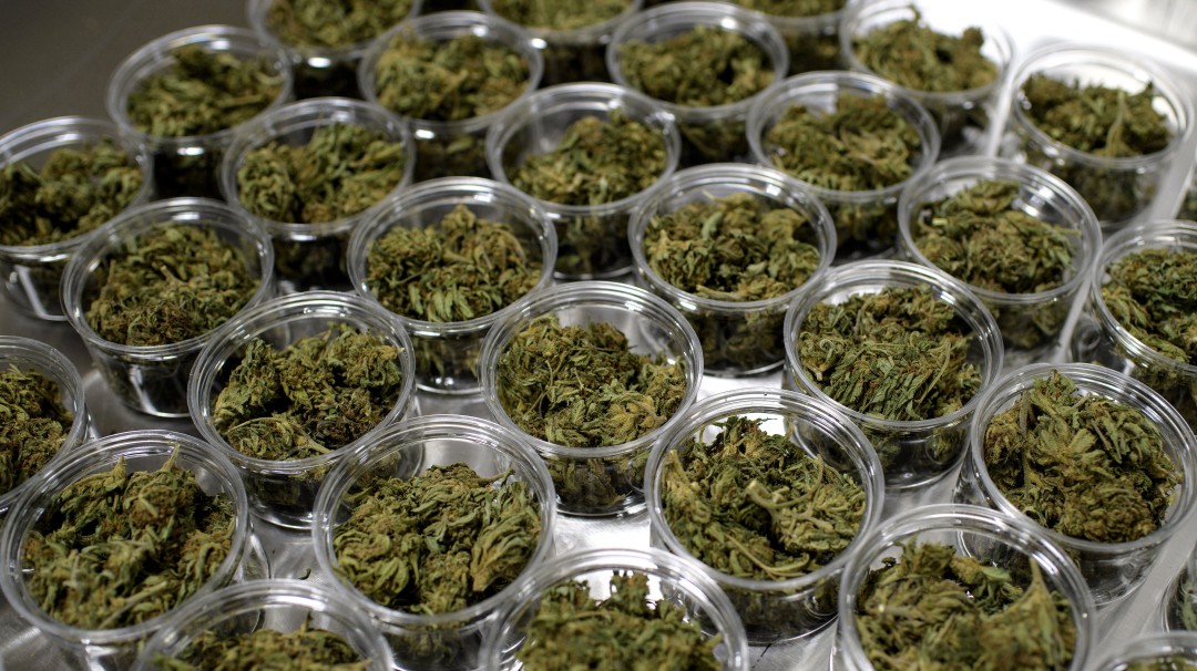 Consumo de cannabis y sedantes aumentó en el mundo durante pandemia: ONU