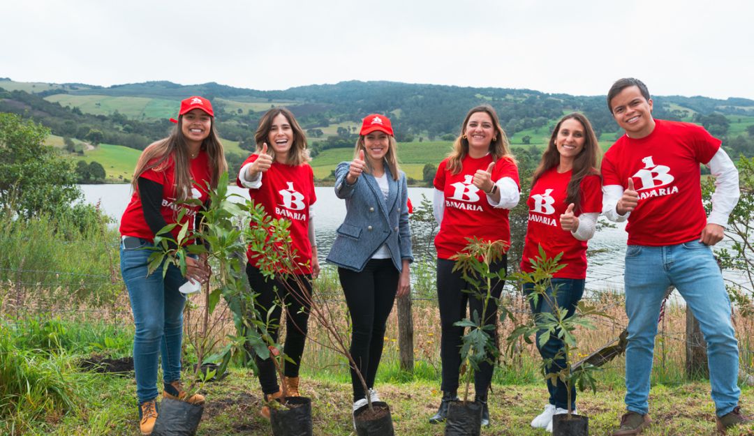 Bavaria continúa transformando país:ahora apuesta por la siembra de árboles: Bavaria continúa transformando país:ahora apuesta por la siembra de árboles Bavaria continúa transformando país:ahora apuesta por la siembra de árboles: Bavaria continúa transformando país:ahora apuesta por la siembra de árboles