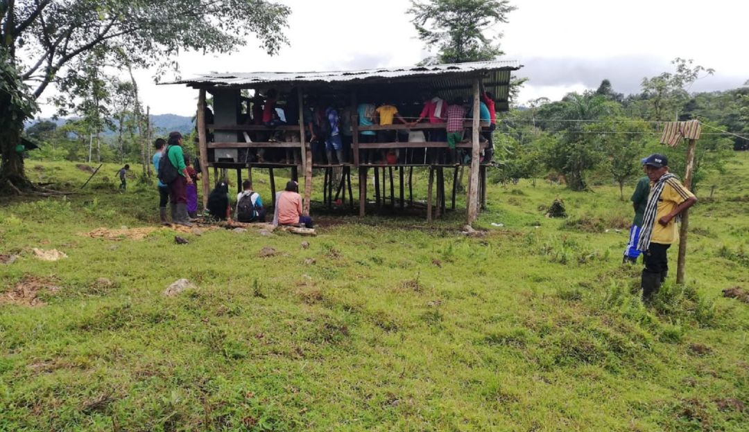 Organización Indígena de Antioquia, denuncia que miembros del ELN serían los responsables de instalar minas antipersonal es territorios indígenas Organización Indígena de Antioquia, denuncia que miembros del ELN serían los responsables de instalar minas antipersonal es territorios indígenas