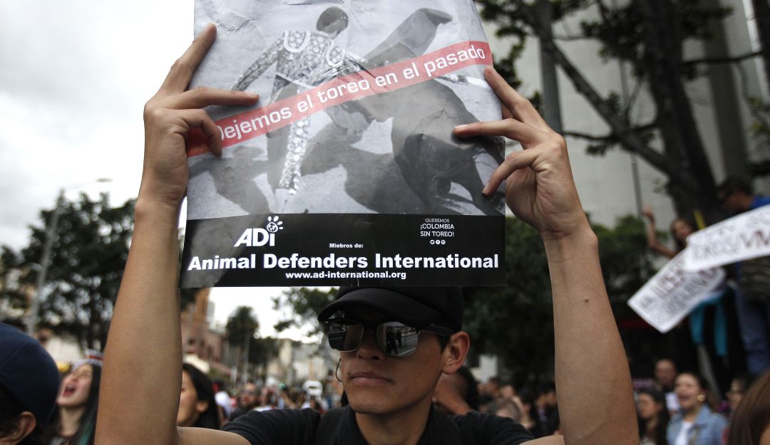 Actualmente en el Congreso cursa un proyecto de ley para prohibir estas prácticas en Colombia; está a la espera de ser discutido en segundo debate en la Cámara de Representantes Actualmente en el Congreso cursa un proyecto de ley para prohibir estas prácticas en Colombia; está a la espera de ser discutido en segundo debate en la Cámara de Representantes