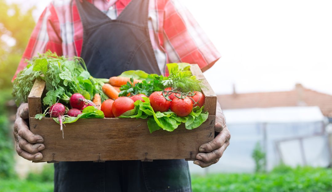 Gastronomía que trabaja de la mano con las comunidades. Gastronomía que trabaja de la mano con las comunidades.